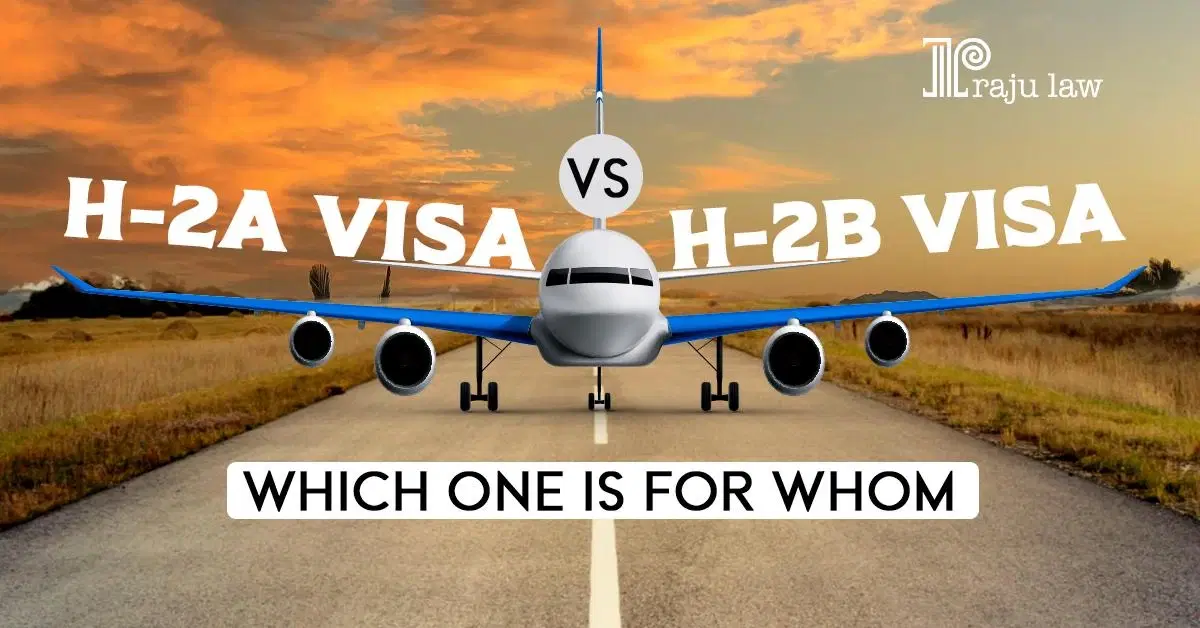 H-2A Visa vs H-2B Visa: Matching the Right Visa to the Right Worker