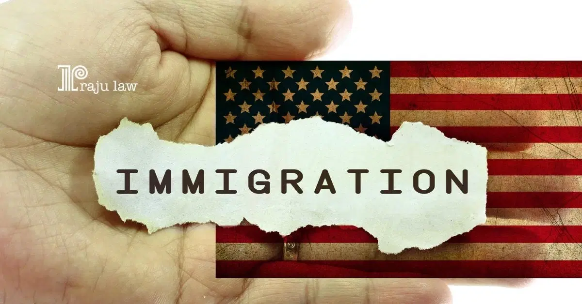 Undocumented Immigrant