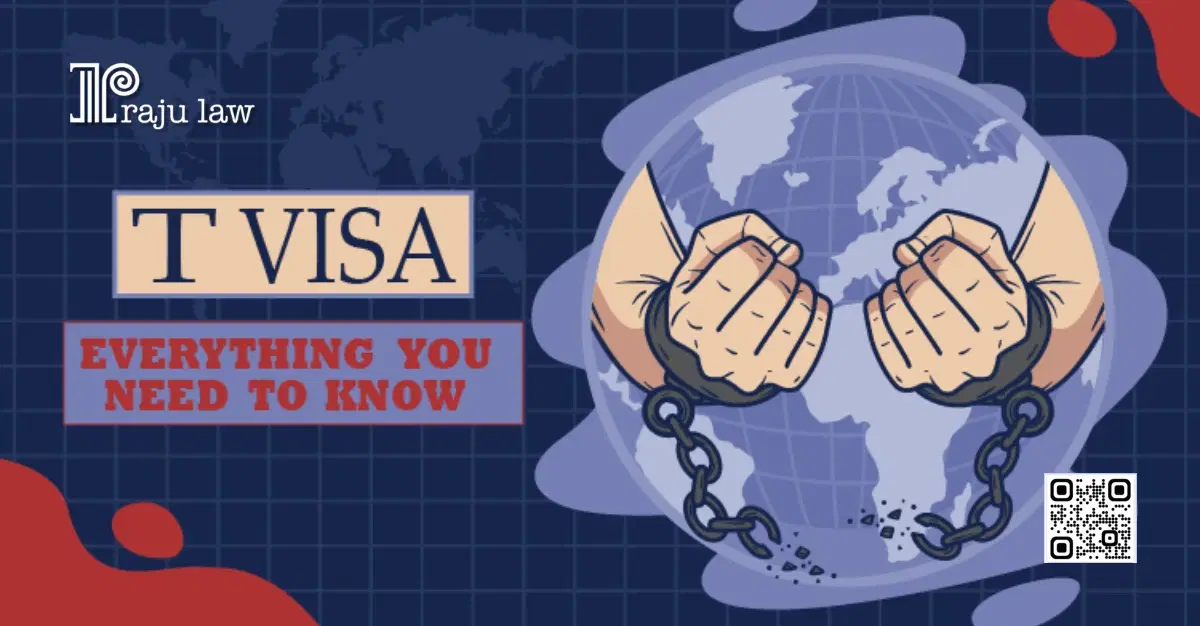 All You Need To Know About The T Visa