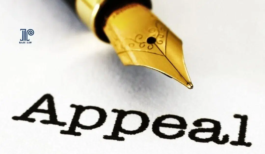 Appealing an Immigration Decision: Step-by-Step Guide