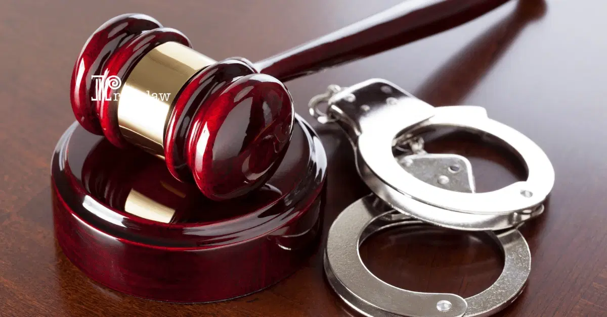 Chances of Criminal Record Affecting Immigration (Part: 2)