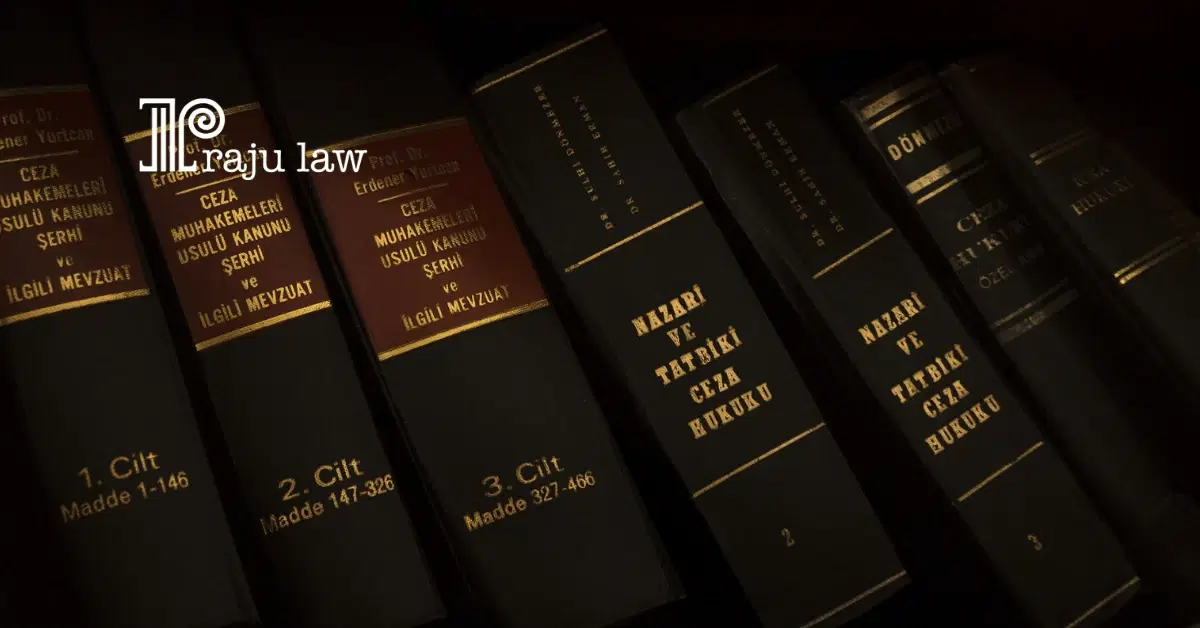 How to Prepare an Affirmative Asylum Application (Part: 2)
