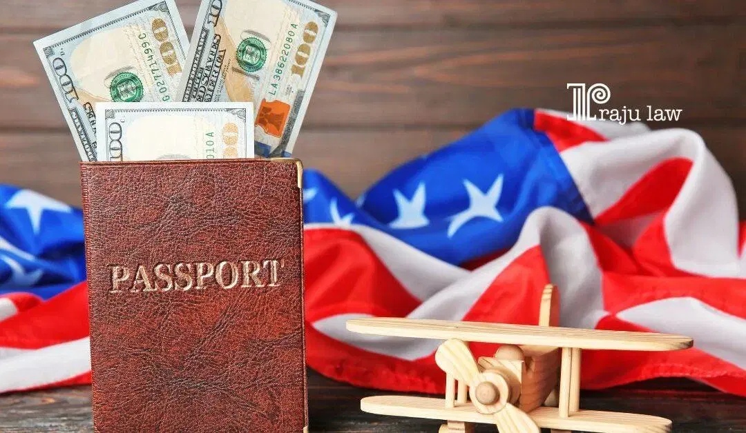Major categories in Application to Extend or Change Nonimmigrant Status or form I-539