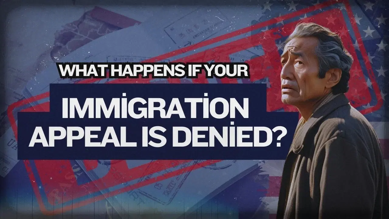 What Happens If Your Immigration Appeal Is Denied?
