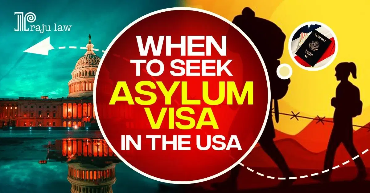 When To Seek Asylum Visa In The USA